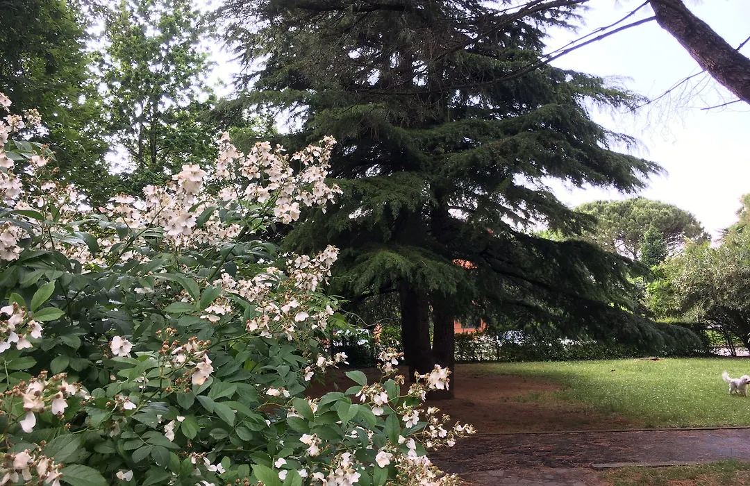 Bed And Breakfast Bio Salix-1