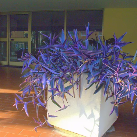 Casa Patavina-2